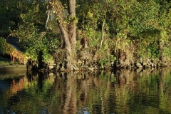 IMGP2967
